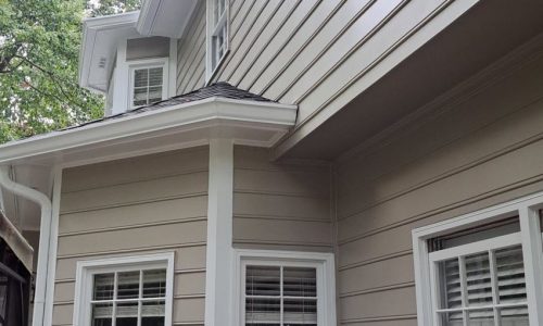 Siding Painting