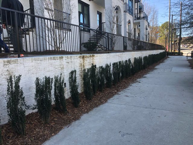 townhome community in atlanta before being repainted Preview Image 1