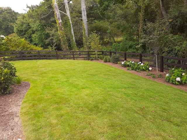 deck staining experts in roswell Preview Image 6