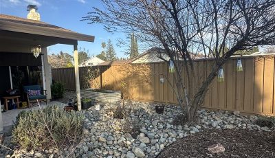 Fence Painting/Staining