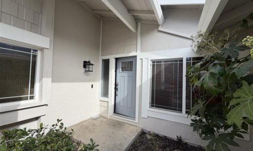 Exterior House Painting