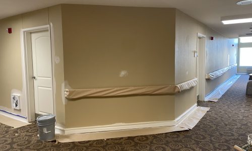 Sunshine Senior Living - During