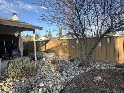 Fence Painting/Staining