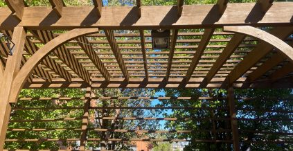 Carpentry Repairs and Painting