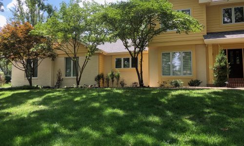 Exterior House Painting
