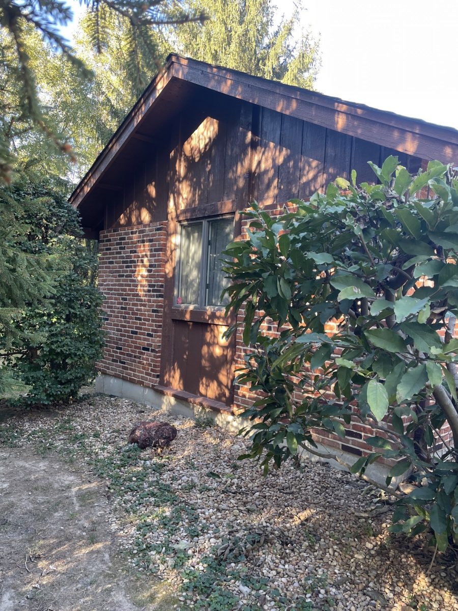 Wood Siding Side View Preview Image 1