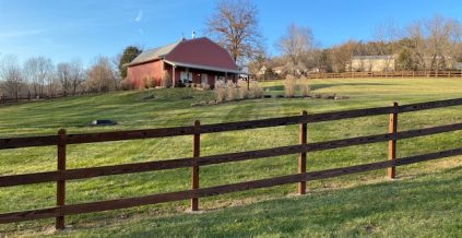 Fence Staining Project