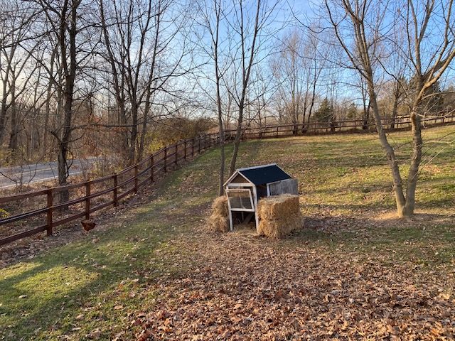 fence Preview Image 4