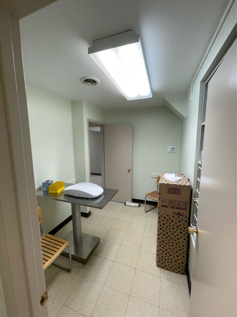 Paint Update Preview Image 5