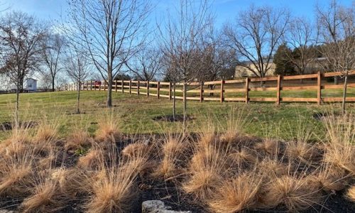 Fence Staining Service