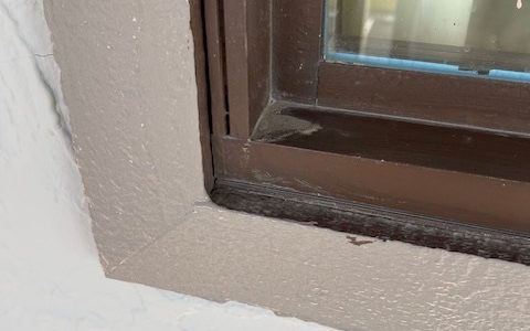 Repainting Window Trim