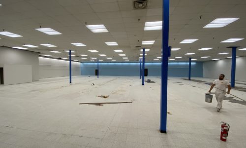 Large Interior Painting