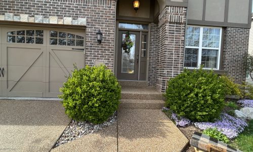 Concrete Sealing of Walkway & Front Steps