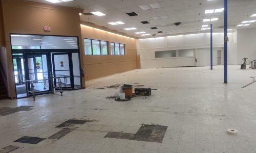 Finished Trim and Windows