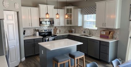 Interior – Kitchen Painting Service ...