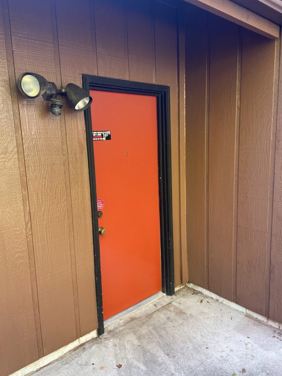 Front Door Painting Preview Image 13