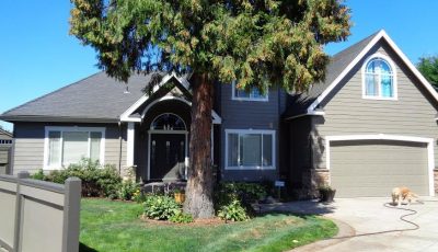 Residential Gray Exterior