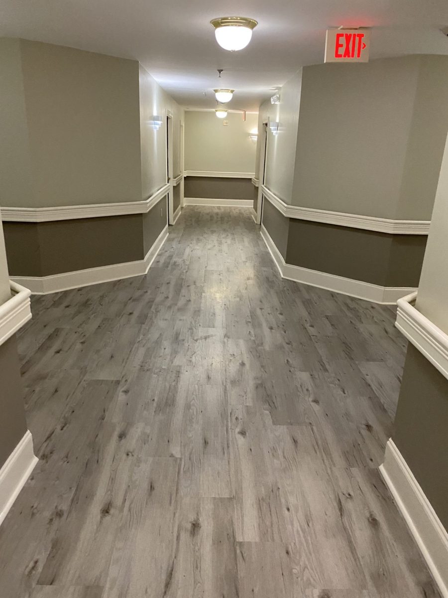 Renovated Hallway with Thematic Gray Paint Preview Image 1