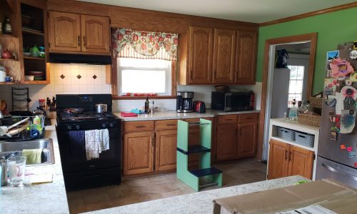 Cabinets Before Painting