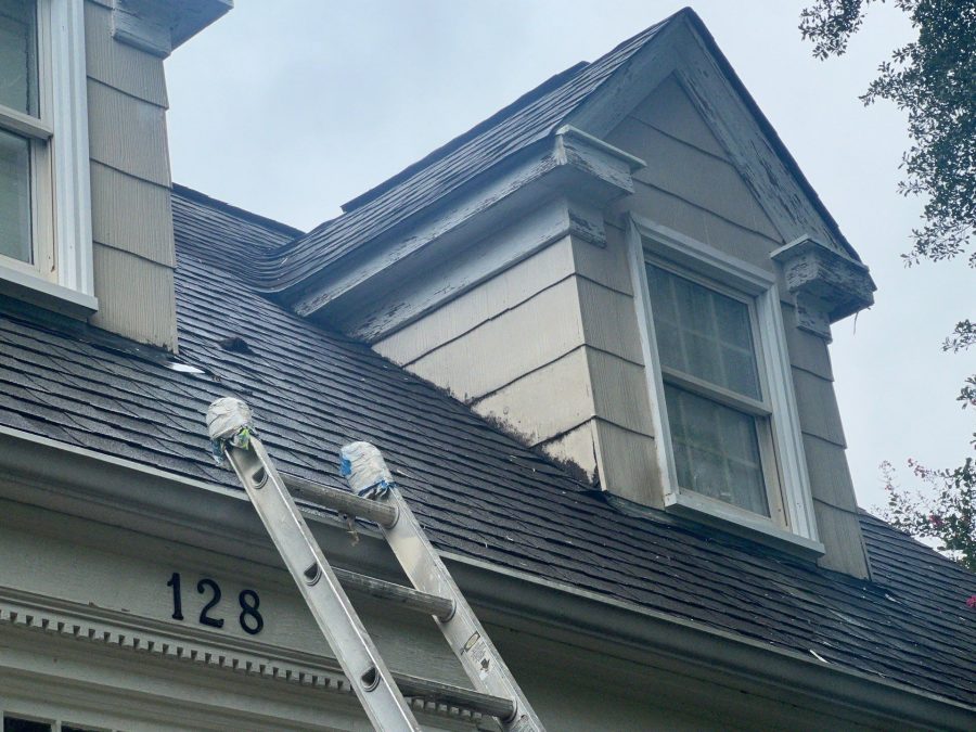 ladder propped against side of house for repaint Preview Image 8