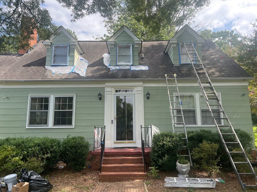 ladders against home exterior during siding repaint Preview Image 12