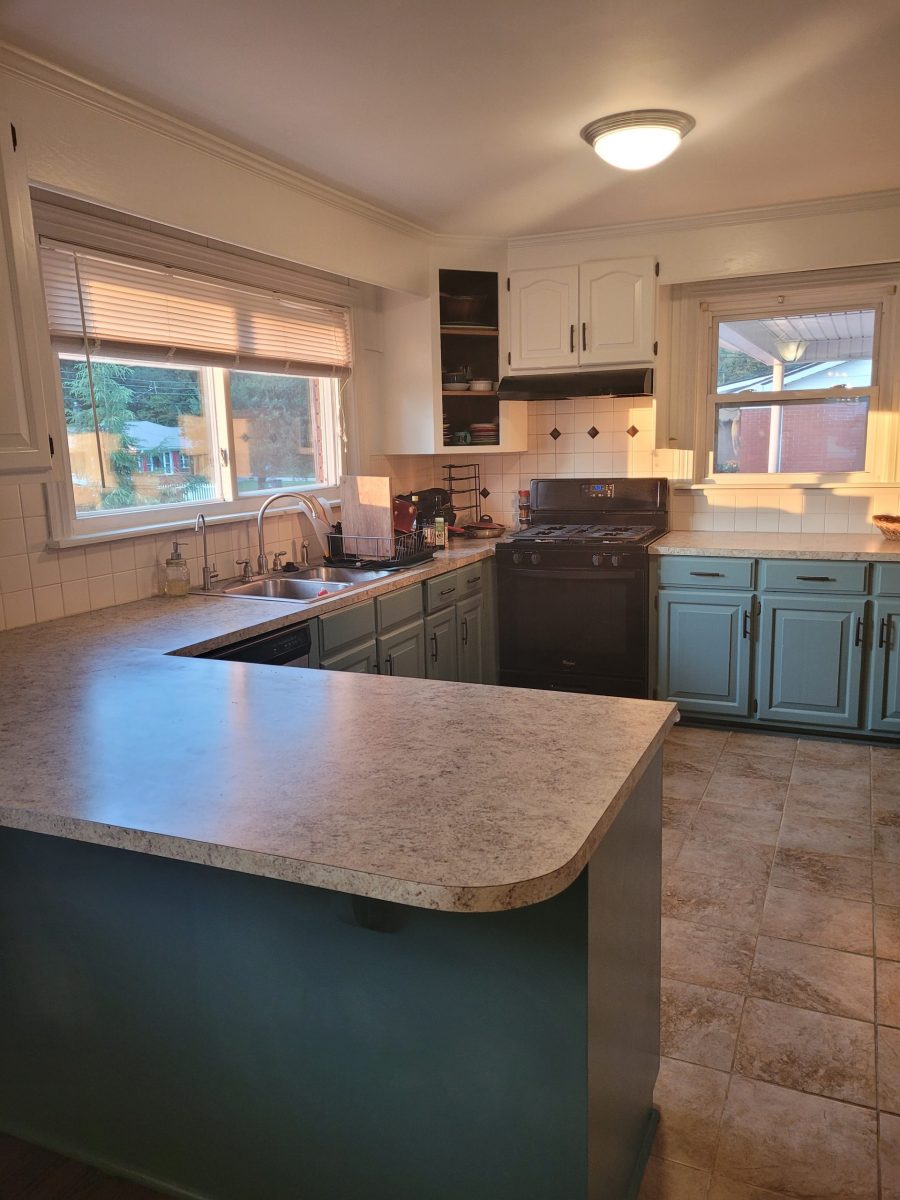 Kitchen Cabinets Preview Image 3