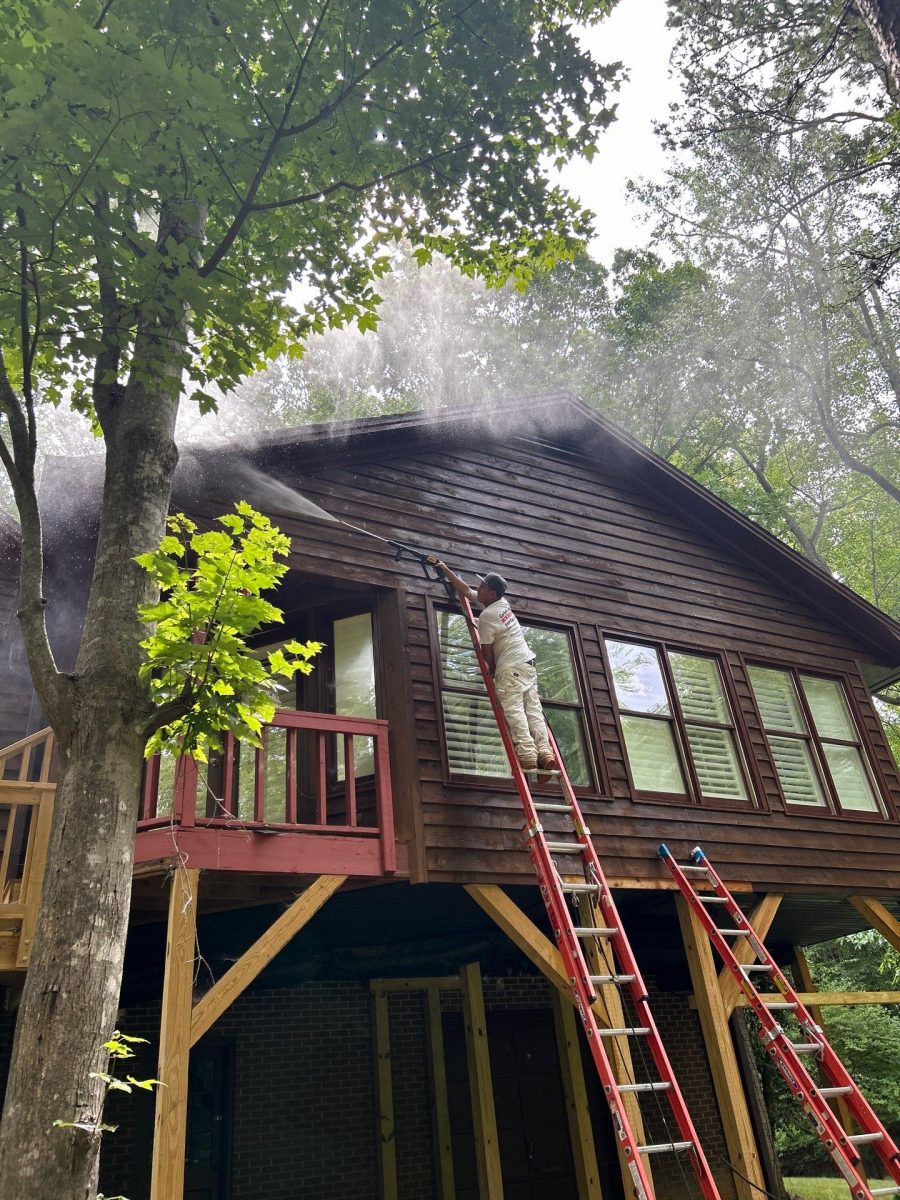 painter on ladder staining house with wood siding Preview Image 9