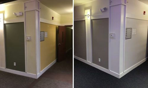 Walls - Elephant Ear SW9168 Alpaca SW7022