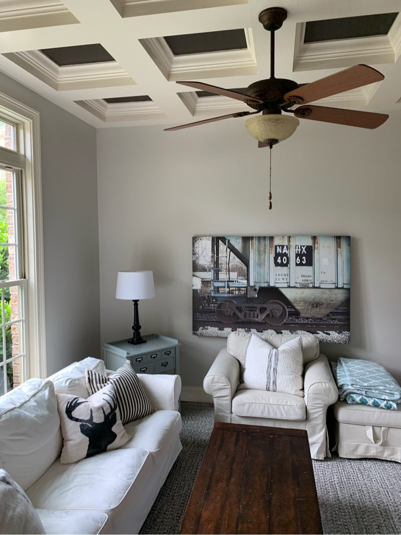 Ceiling Painters Preview Image 1