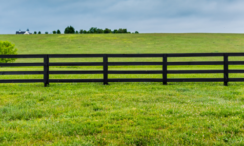 Barn Fences