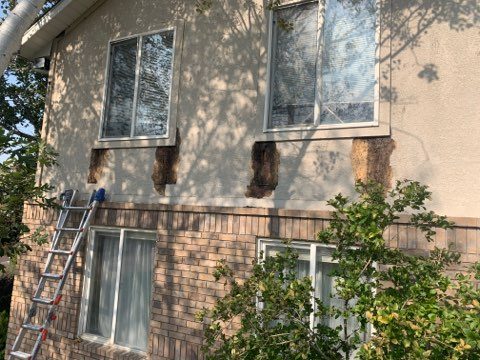 Removing Damaged Stucco Preview Image 9
