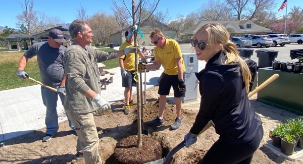 tree planting