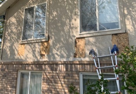 Plywood Repair to Stucco