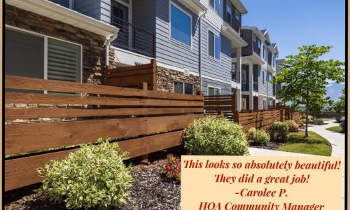 After Fence Painting