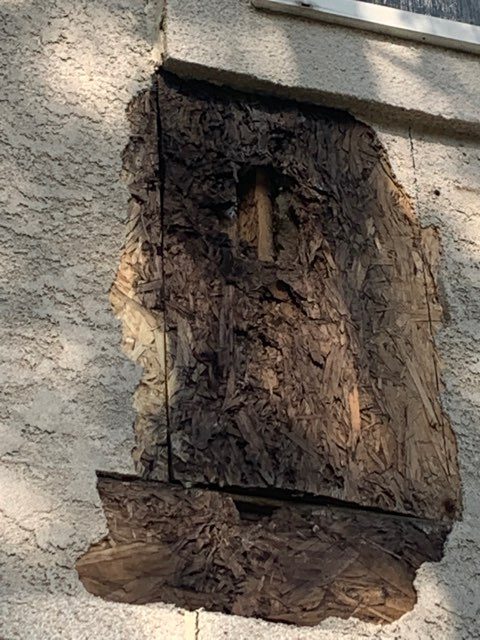 Stucco Damage Preview Image 2