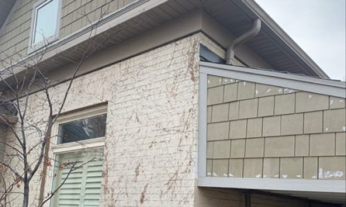 Before Brick Painting