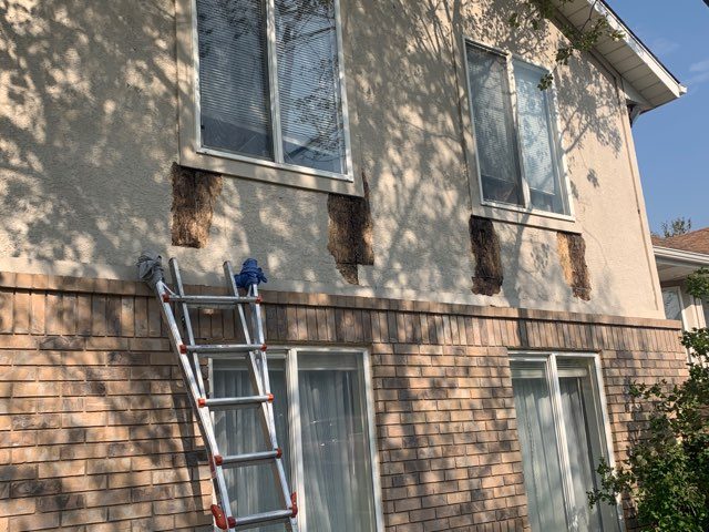 Exterior Handyman Repairs Preview Image 1