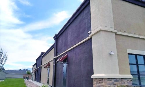 Deep Browns and Beiges