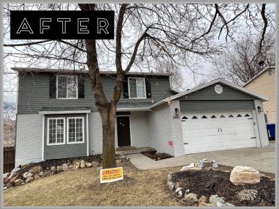 Monochromatic Painting After