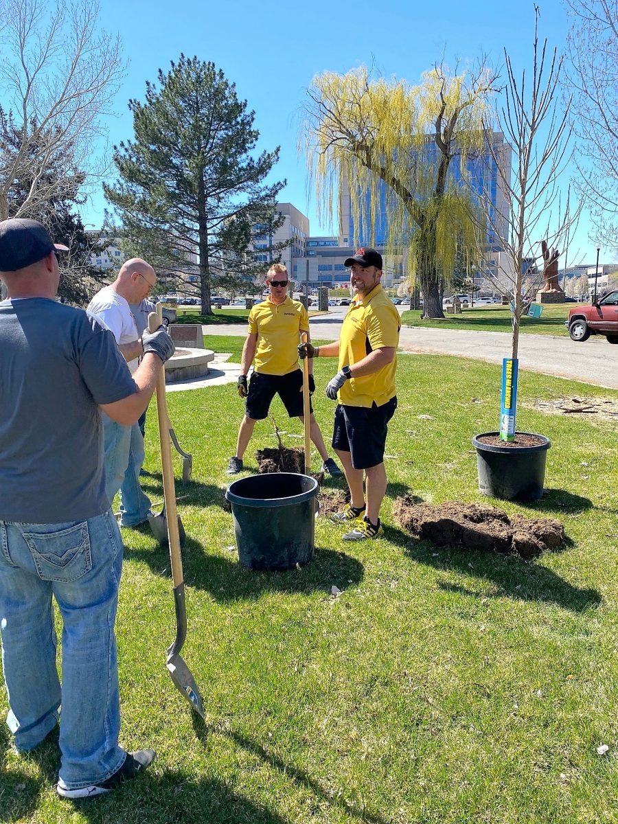 tree planting Preview Image 9