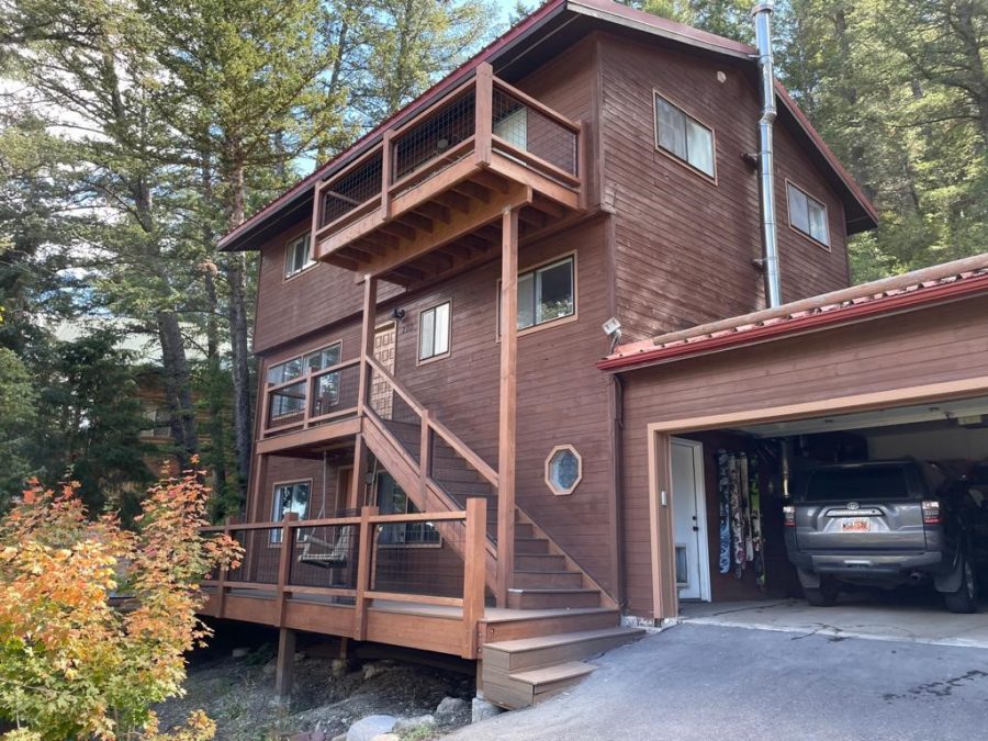 final brown in the woods Preview Image 1