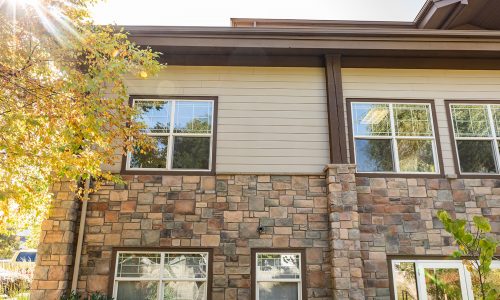 Siding and Stone Painting