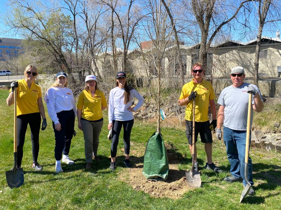 tree planting Preview Image 3