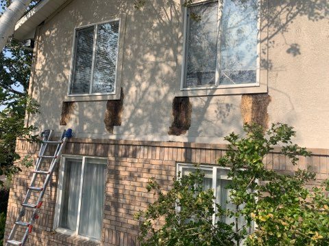Removing Damaged Stucco Preview Image 9