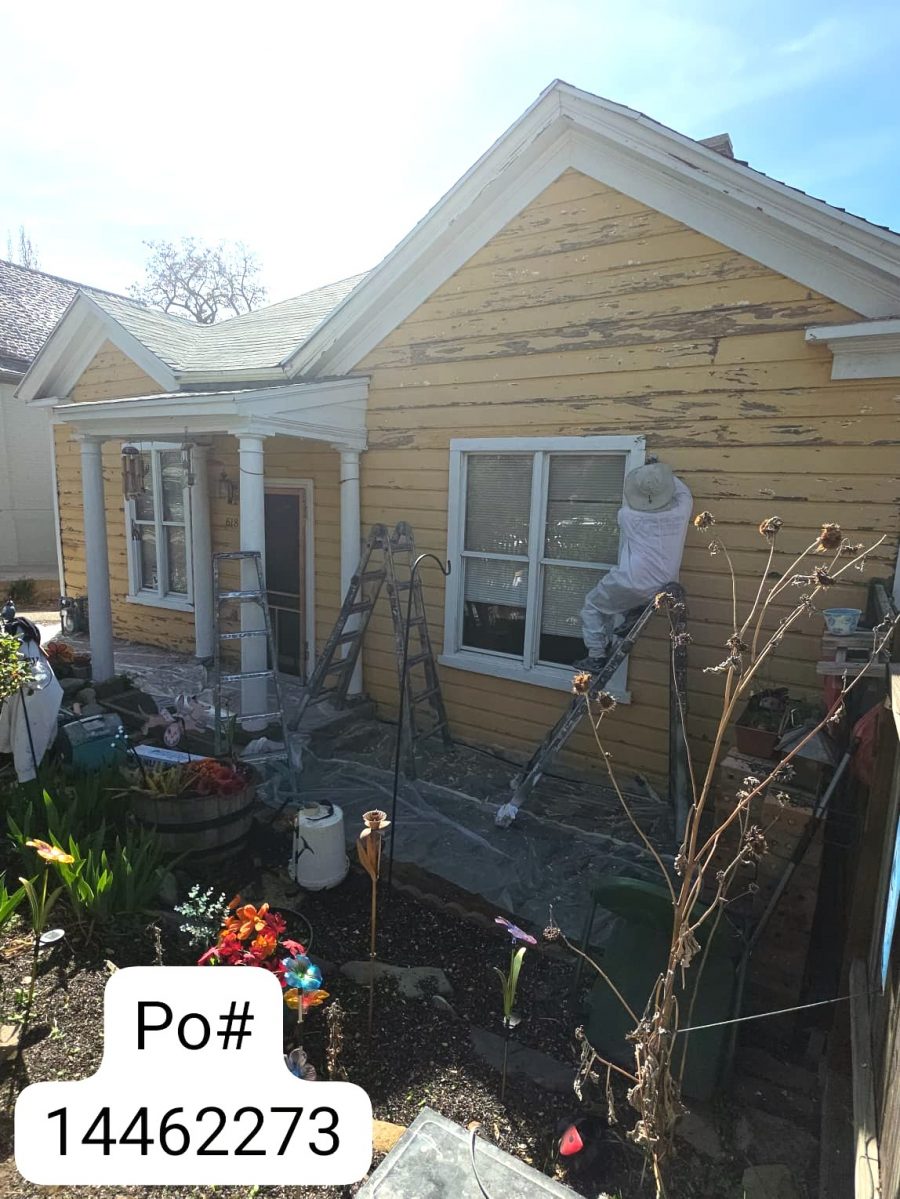 painters working on yellow house exterior with damaged siding Preview Image 1