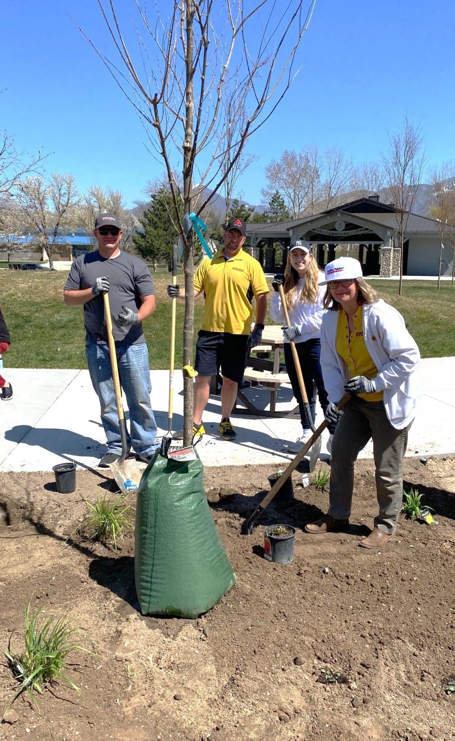 tree planting Preview Image 11
