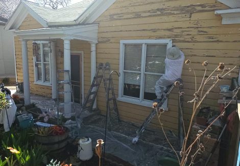 painters working on yellow house exterior with damaged siding