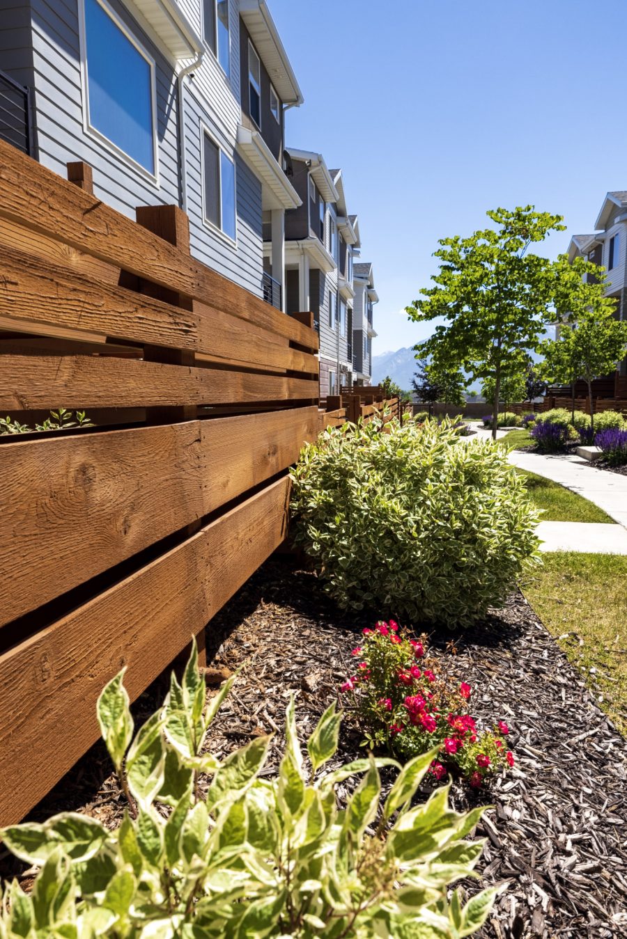 After Fence Staining Preview Image 5