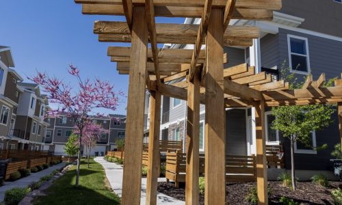 Sidewalk and Pergola Before