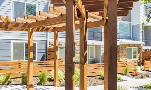 Community Pergola Painting